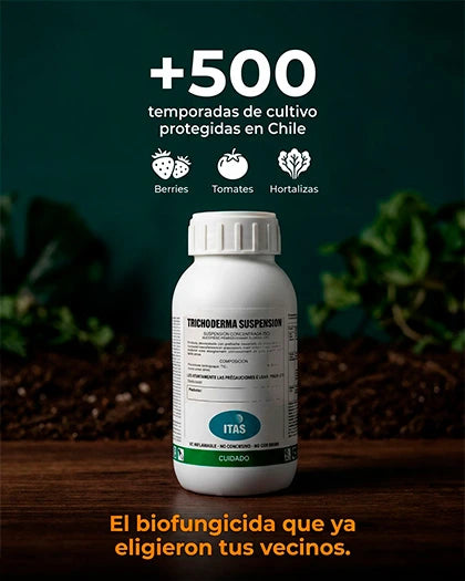 Trichoderma Suspensión T3