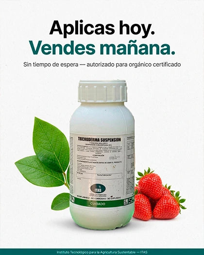 Trichoderma Suspensión T3
