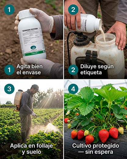 Trichoderma Suspensión T3