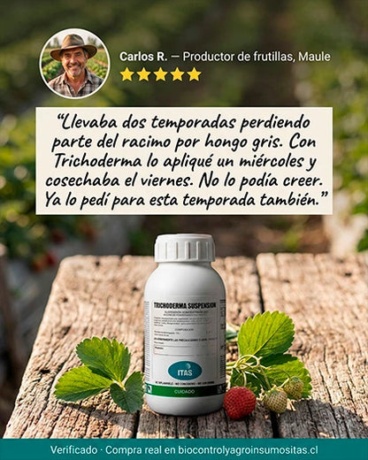 Trichoderma Suspensión T3